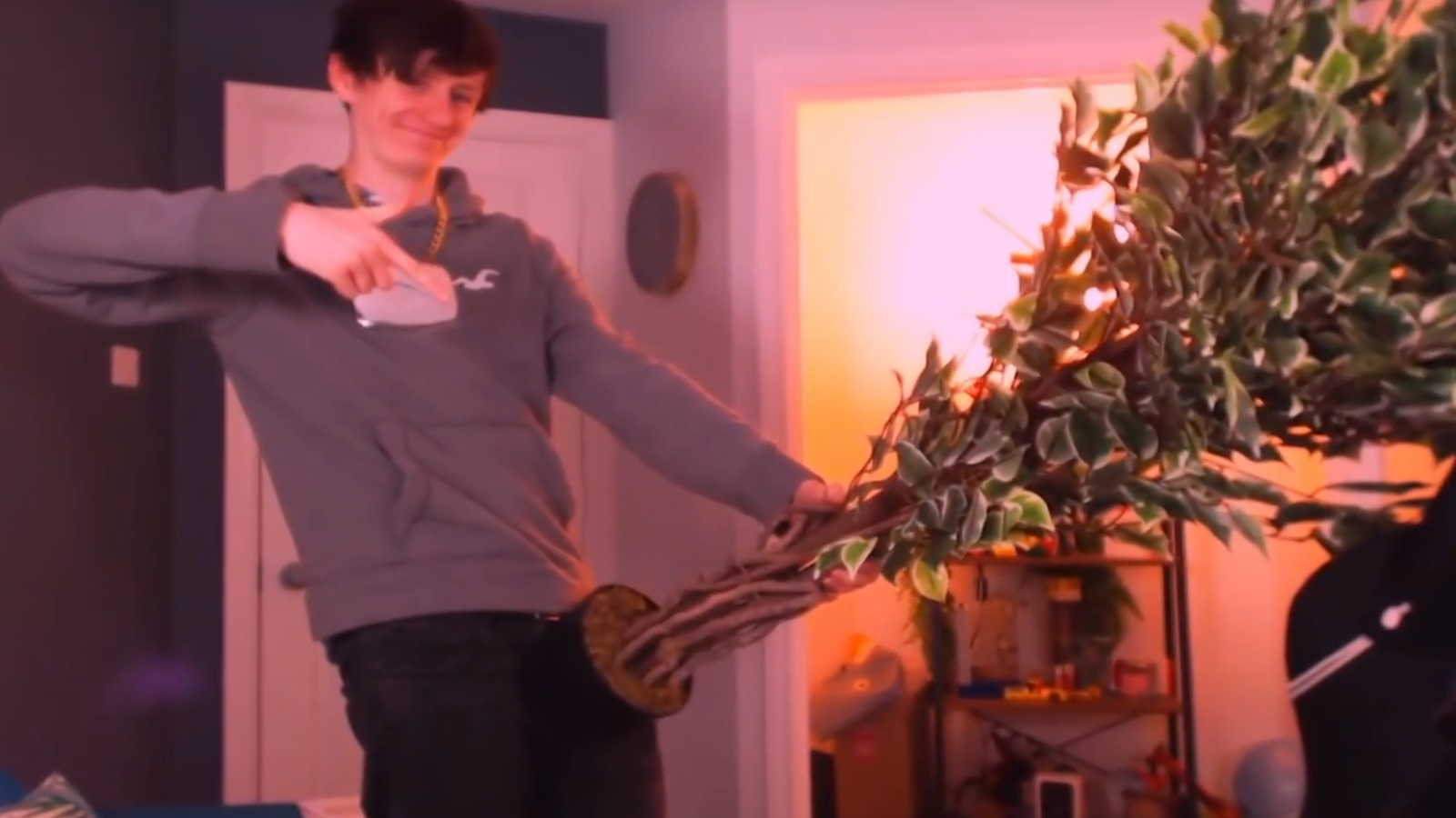 Jack showing his love for trees